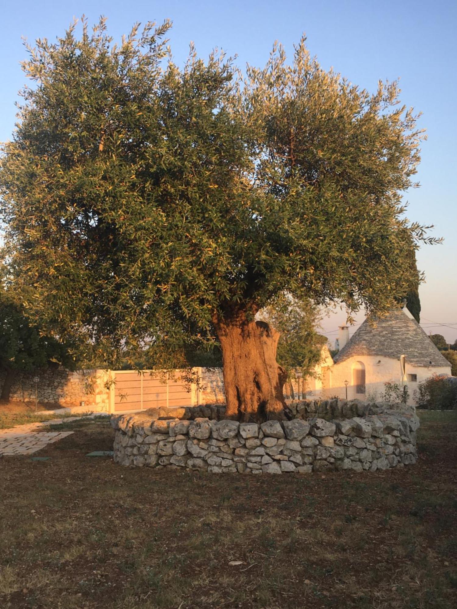 Trulli Le 2 Nicchie Villa Locorotondo Exterior photo